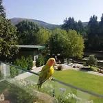 Turismo Natureza Rio Villa