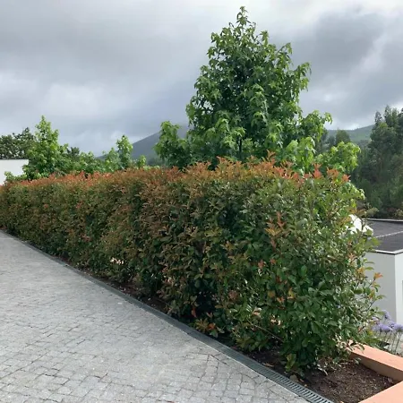 Turismo Natureza Rio * Castanheira de Pera