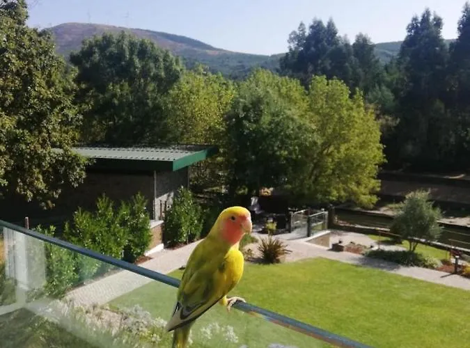 Turismo Natureza Rio Villa